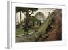 Common Green Iguana (Iguana Iguana) Living Wild in Parque Seminario, Guayaquil, Ecuador. 2005-Pete Oxford-Framed Photographic Print