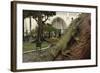 Common Green Iguana (Iguana Iguana) Living Wild in Parque Seminario, Guayaquil, Ecuador. 2005-Pete Oxford-Framed Photographic Print