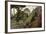 Common Green Iguana (Iguana Iguana) Living Wild in Parque Seminario, Guayaquil, Ecuador. 2005-Pete Oxford-Framed Photographic Print