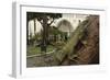 Common Green Iguana (Iguana Iguana) Living Wild in Parque Seminario, Guayaquil, Ecuador. 2005-Pete Oxford-Framed Photographic Print