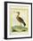 Common Greenshank-Georges-Louis Buffon-Framed Giclee Print