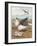 Common Gulls on a Beach-W. Foster-Framed Art Print