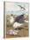 Common Gulls on a Beach-W. Foster-Stretched Canvas