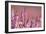 Common heather in flower, Dorset, UK-Ross Hoddinott / 2020VISION-Framed Photographic Print