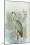 Common Heron-null-Mounted Art Print