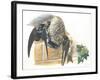 Common House Martin Delichon Urbicum Feeding Young in Nest-null-Framed Giclee Print