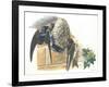 Common House Martin Delichon Urbicum Feeding Young in Nest-null-Framed Giclee Print