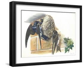 Common House Martin Delichon Urbicum Feeding Young in Nest-null-Framed Giclee Print