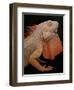 Common Iguana (Iguana Iguana) Albino, Captive, From Central And South America-Michael D. Kern-Framed Photographic Print