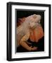 Common Iguana (Iguana Iguana) Albino, Captive, From Central And South America-Michael D. Kern-Framed Photographic Print