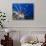 Common Lionfish with Diver in Background, Solomon Islands-Stocktrek Images-Photographic Print displayed on a wall