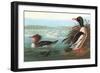 Common Merganser-John James Audubon-Framed Art Print