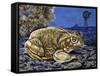 Common Midwife Toad (Alytes Obstetricans), Alytidae, Drawing-null-Framed Stretched Canvas
