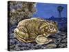 Common Midwife Toad (Alytes Obstetricans), Alytidae, Drawing-null-Stretched Canvas