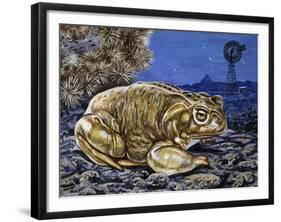 Common Midwife Toad (Alytes Obstetricans), Alytidae, Drawing-null-Framed Giclee Print