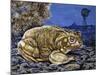 Common Midwife Toad (Alytes Obstetricans), Alytidae, Drawing-null-Mounted Giclee Print