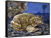 Common Midwife Toad (Alytes Obstetricans), Alytidae, Drawing-null-Framed Stretched Canvas