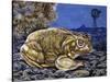 Common Midwife Toad (Alytes Obstetricans), Alytidae, Drawing-null-Stretched Canvas