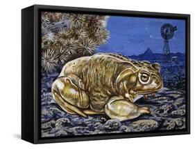 Common Midwife Toad (Alytes Obstetricans), Alytidae, Drawing-null-Framed Stretched Canvas