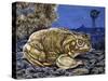 Common Midwife Toad (Alytes Obstetricans), Alytidae, Drawing-null-Stretched Canvas