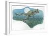 Common Midwife Toad Alytes Obstetricans Catching Butterfly at Night-null-Framed Premium Giclee Print