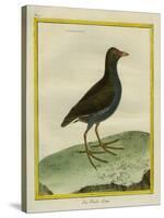 Common Moorhen-Georges-Louis Buffon-Stretched Canvas