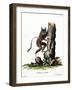 Common Mouse Opossum-null-Framed Giclee Print