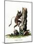 Common Mouse Opossum-null-Mounted Giclee Print