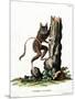 Common Mouse Opossum-null-Mounted Giclee Print