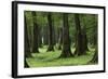 Common Oak (Quercus Robur) and Ash (Fraxinus Sp) Forest, Lonjsko Polje Np, Slavonia Region, Croatia-della Ferrera-Framed Photographic Print