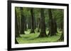 Common Oak (Quercus Robur) and Ash (Fraxinus Sp) Forest, Lonjsko Polje Np, Slavonia Region, Croatia-della Ferrera-Framed Photographic Print