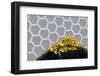 Common Orange Lichen (Xanthoria Parietina) Growing on a Road Sign. Peak District National Park, UK-Alex Hyde-Framed Photographic Print