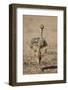 Common Ostrich (Struthio Camelus) Chick-James Hager-Framed Photographic Print