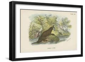 Common Otter-English School-Framed Giclee Print