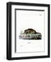 Common Otter-null-Framed Premium Giclee Print