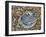 Common Oyster Shell on Beach, Normandy, France-Philippe Clement-Framed Photographic Print