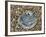 Common Oyster Shell on Beach, Normandy, France-Philippe Clement-Framed Photographic Print