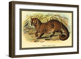 Common Palm Civet-Sir William Jardine-Framed Art Print
