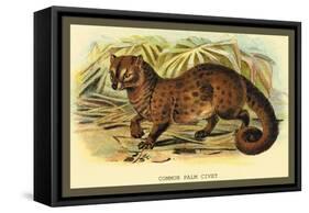 Common Palm Civet-Sir William Jardine-Framed Stretched Canvas