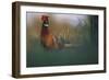 Common Pheasant - Field-Staffan Widstrand-Framed Giclee Print