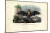 Common Pipistrelle, 1863-79-Raimundo Petraroja-Mounted Giclee Print