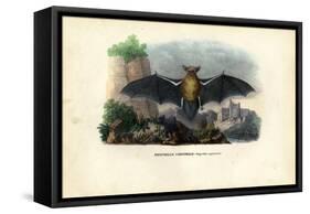 Common Pipistrelle, 1863-79-Raimundo Petraroja-Framed Stretched Canvas