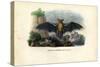 Common Pipistrelle, 1863-79-Raimundo Petraroja-Stretched Canvas