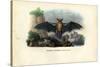 Common Pipistrelle, 1863-79-Raimundo Petraroja-Stretched Canvas