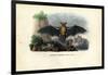 Common Pipistrelle, 1863-79-Raimundo Petraroja-Framed Giclee Print