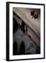 Common Pipistrelle-null-Framed Photographic Print