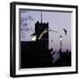 Common Pipistrelles (Pipistrellus Pipistrellus) Flying Round Church Tower. UK. Digital Composite-null-Framed Photographic Print