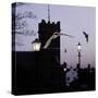 Common Pipistrelles (Pipistrellus Pipistrellus) Flying Round Church Tower. UK. Digital Composite-null-Stretched Canvas