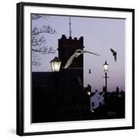 Common Pipistrelles (Pipistrellus Pipistrellus) Flying Round Church Tower. UK. Digital Composite-null-Framed Photographic Print