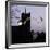 Common Pipistrelles (Pipistrellus Pipistrellus) Flying Round Church Tower. UK. Digital Composite-null-Framed Photographic Print